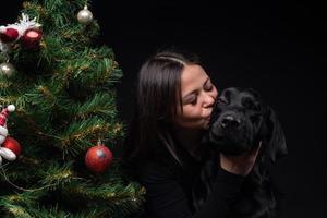 Portrait of a Labrador Retriever dog with its owner, near the new year's green tree. photo