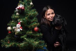 retrato de un perro labrador con su dueño, cerca del árbol verde de año nuevo. foto