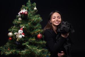 Portrait of a Labrador Retriever dog with its owner, near the new year's green tree. photo