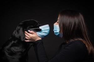 Portrait of a Labrador Retriever dog in a protective medical mask with a female owner. photo