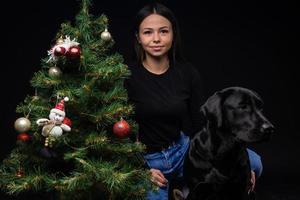 Portrait of a Labrador Retriever dog with its owner, near the new year's green tree. photo