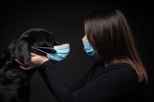Portrait of a Labrador Retriever dog in a protective medical mask with a female owner. photo