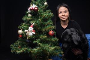 Portrait of a Labrador Retriever dog with its owner, near the new year's green tree. photo