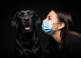 Portrait of a Labrador Retriever dog in a protective medical mask with a female owner. photo