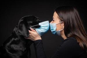 Portrait of a Labrador Retriever dog in a protective medical mask with a female owner. photo