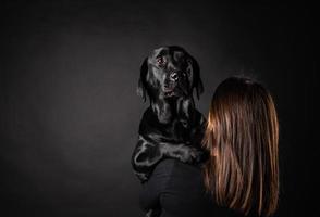 A girl holds a Labrador Retriever dog in her arms. photo