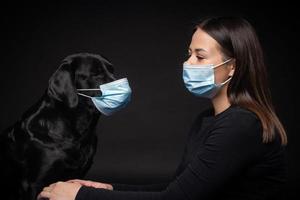 Portrait of a Labrador Retriever dog in a protective medical mask with a female owner. photo