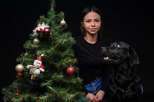 Portrait of a Labrador Retriever dog with its owner, near the new year's green tree. photo