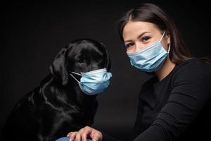 Portrait of a Labrador Retriever dog in a protective medical mask with a female owner. photo