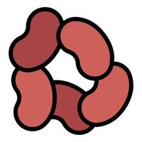 Harvest kidney beans icon color outline vector