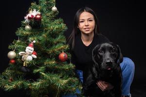 Portrait of a Labrador Retriever dog with its owner, near the new year's green tree. photo