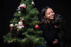 Portrait of a Labrador Retriever dog with its owner, near the new year's green tree. photo