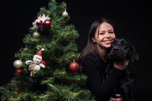 Portrait of a Labrador Retriever dog with its owner, near the new year's green tree. photo