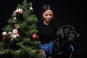 Portrait of a Labrador Retriever dog with its owner, near the new year's green tree. photo