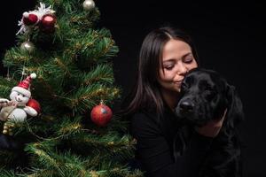 Portrait of a Labrador Retriever dog with its owner, near the new year's green tree. photo