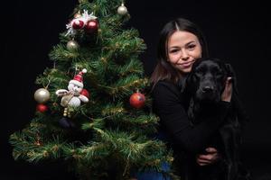 retrato de un perro labrador con su dueño, cerca del árbol verde de año nuevo. foto