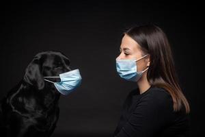 Portrait of a Labrador Retriever dog in a protective medical mask with a female owner. photo