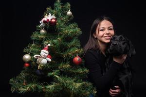 Portrait of a Labrador Retriever dog with its owner, near the new year's green tree. photo