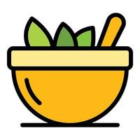 Bowl with eucalyptus leaves icon color outline vector