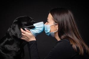 Portrait of a Labrador Retriever dog in a protective medical mask with a female owner. photo