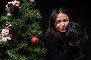 Portrait of a Labrador Retriever dog with its owner, near the new year's green tree. photo