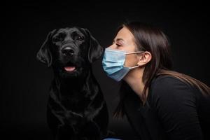 Portrait of a Labrador Retriever dog in a protective medical mask with a female owner. photo