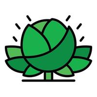 Eco farm cabbage icon color outline vector