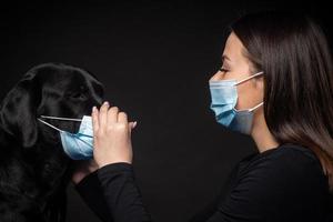 Portrait of a Labrador Retriever dog in a protective medical mask with a female owner. photo