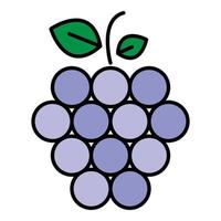 vector de contorno de color de icono de frambuesa de fruta