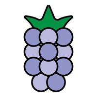 Garden raspberry icon color outline vector
