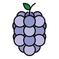 Sweet raspberry icon color outline vector