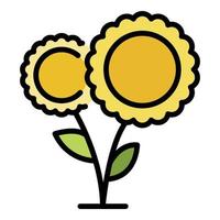 un par de girasoles icono color contorno vector