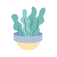 Simple aloe vera potted house plant for design ornament png