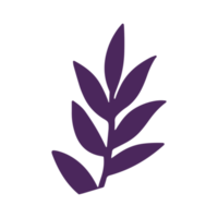 cute leaf cartoon png