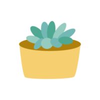 Simple gasteria potted house plant for design ornament png