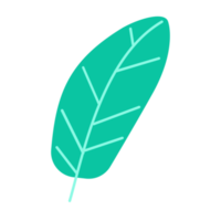 hoja de guayaba en diseño de ilustración de moda png