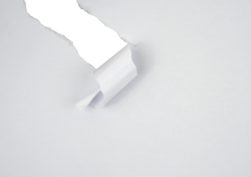 Torn paper with the curled ripped sides. Realistic torn paper with the ripped edges for copy space and text. png
