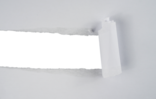 Torn paper with the curled ripped sides. Realistic torn paper with the ripped edges for copy space and text. png