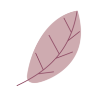 Poplar leaf in trendy illustration design png