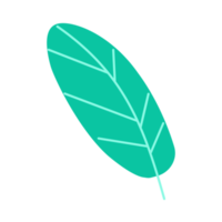 hoja de guayaba en diseño de ilustración de moda png