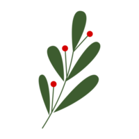 Berry illustration for Christmas ornament png