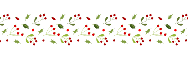 Leaves and flowers pattern for Christmas decoration png