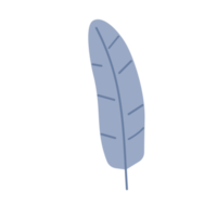 Banana leaf in trendy illustration design