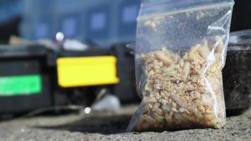 Gesloten transparant zak met gevangen larven van wit vlieg larven. veel larven van wormen flikkering in de zon, in natuur. aas. vissen. larven in een container, aas vissen. de larve is gebruikt in vlieg vissen. video