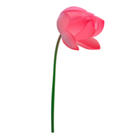 Lilienblumenabbildung png