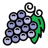 vector de contorno de color de icono de racimo de uvas
