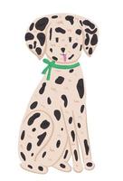 Dalmatian dog with bow vector