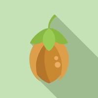 Jojoba icon flat vector. Oil plant vector