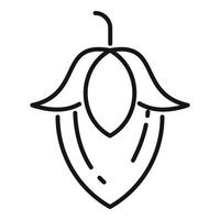 Organic jojoba icon outline vector. Plant seed vector