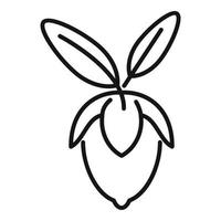 Jojoba leaf icon outline vector. Aroma herb vector